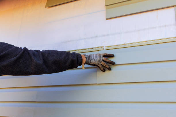 Best Insulated Siding Installation  in Leslie, MI